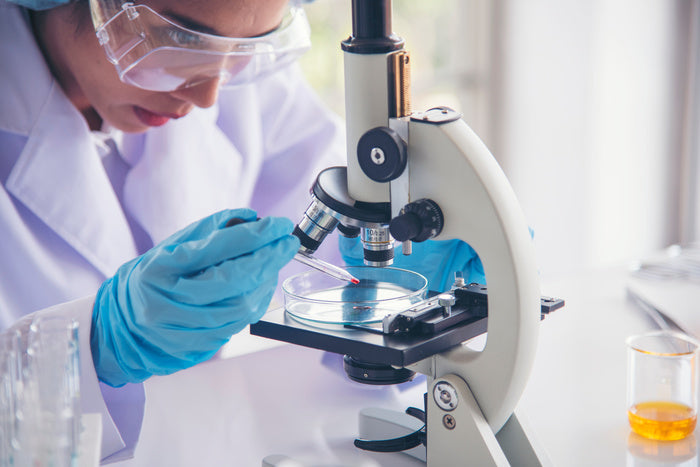 Laboratory technician analyzing tick-borne disease sample under a microscope for accurate results